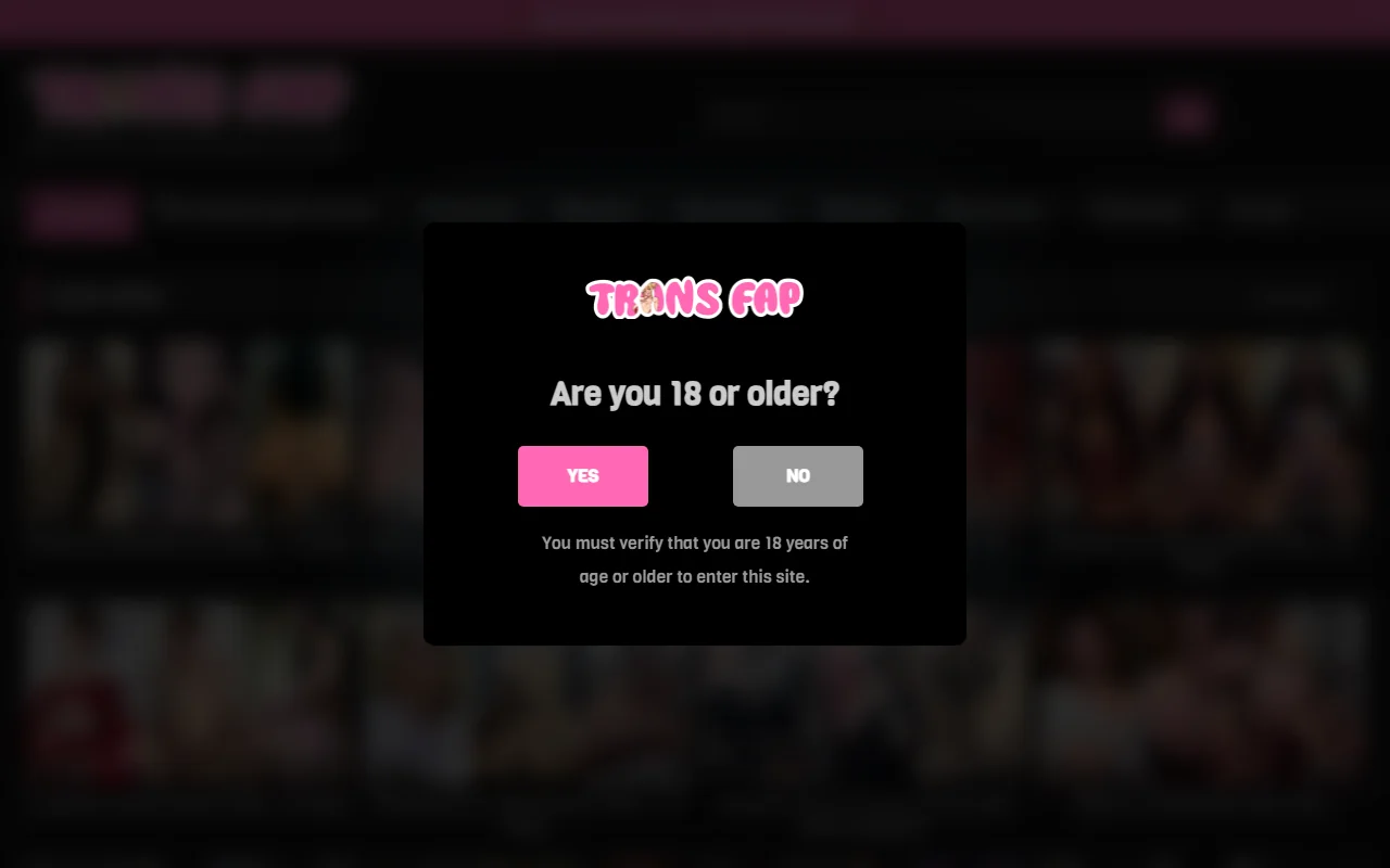 Screenshot of Transfap